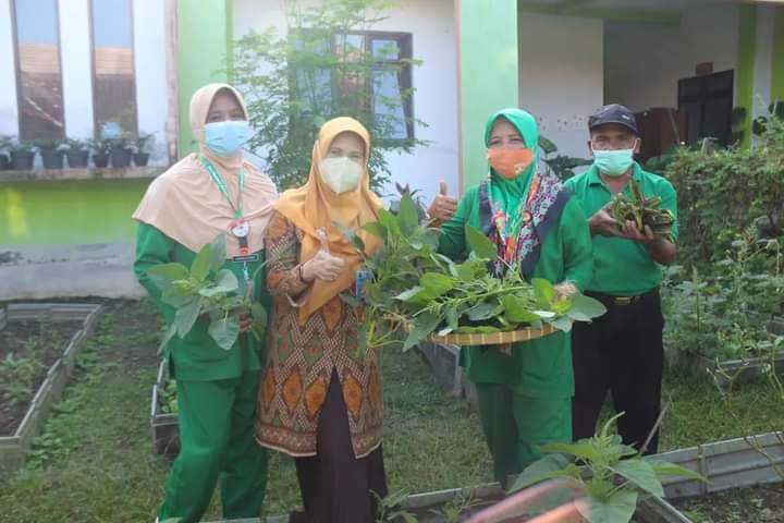 DIREKTUR PANEN HASIL KEBUN INSTALASI REHABILITASI PSIKOSOSIAL RSJMS